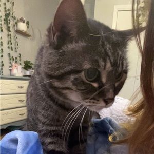 Meet your Posher, Avah